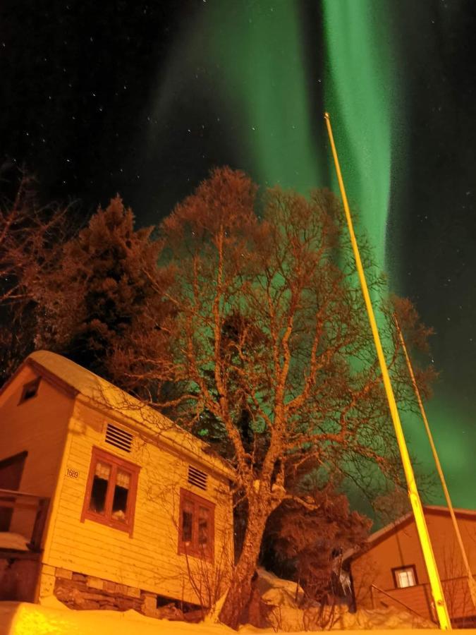MelkarholaSenja Skaland别墅 外观 照片